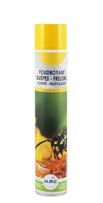 Foudroyant guêpes frelons - Aérosol de 750ml - HPC HPCA250